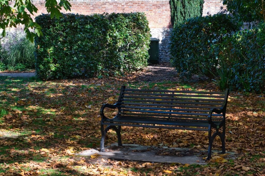 vatican gardens sunlit stone bench and path