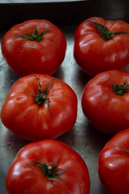 testaccio market suppli close up rome