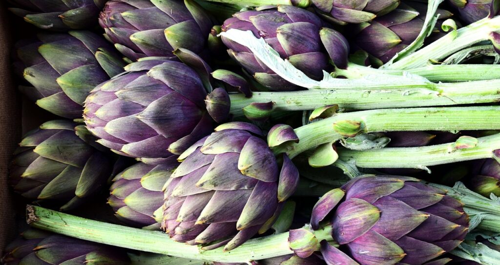 testaccio market fresh artichokes on stone