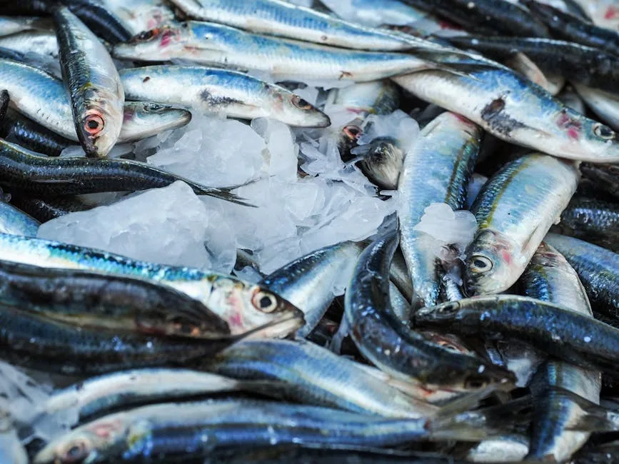 Gros plan sur sardines et glace, reflets bleuâtres sur les écailles