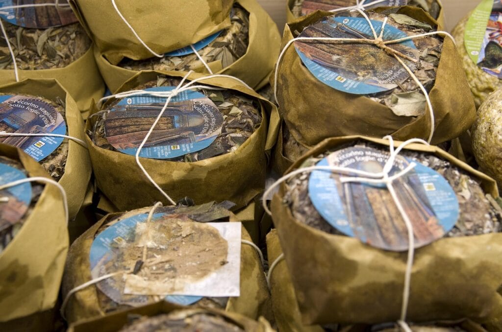 Aged Pecorino cheese wheels at market