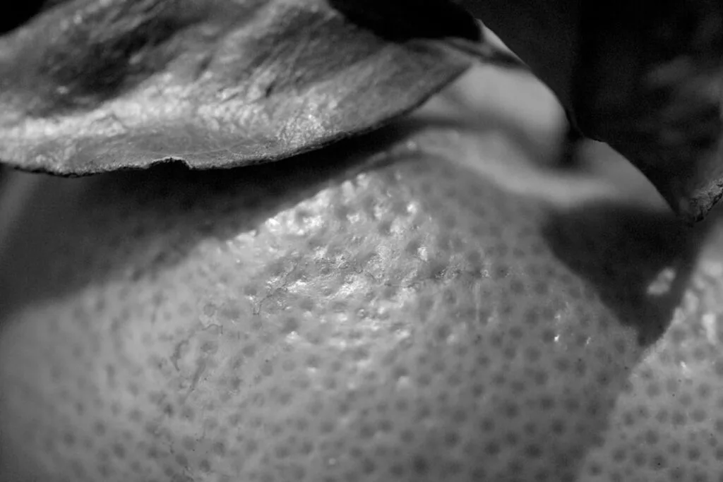 Gros plan noir et blanc sur la peau texturée d'un citron