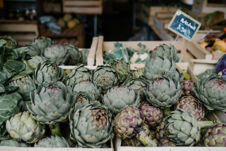 campo de fiori market artichoke stall